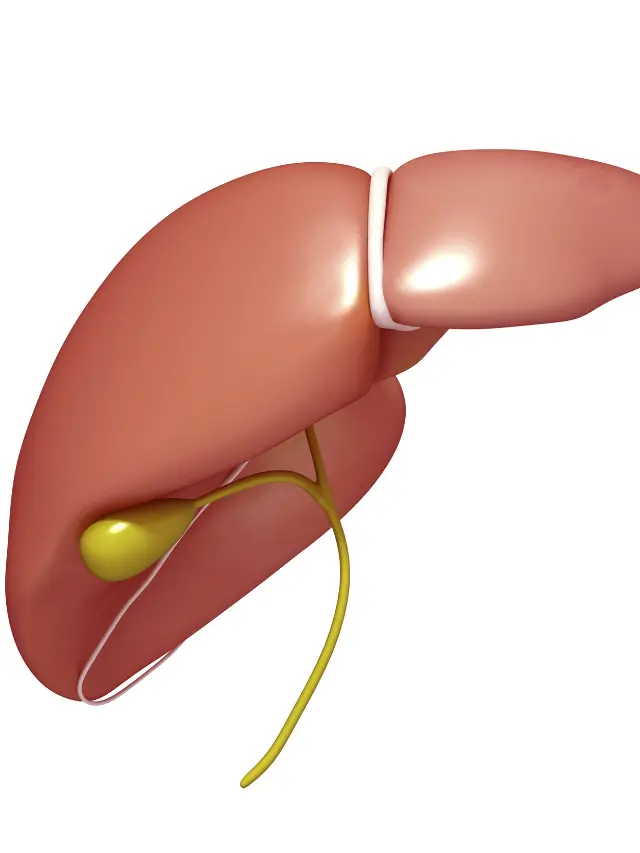 Best foods for liver health