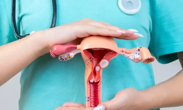 female-doctor-gynecologist-with-stethoscope-holds-model-female-reproductive-system-hands-help-care-concept
